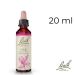 Oak Bach Original - Fleur de Bach Authentique 20 ml (Chêne)