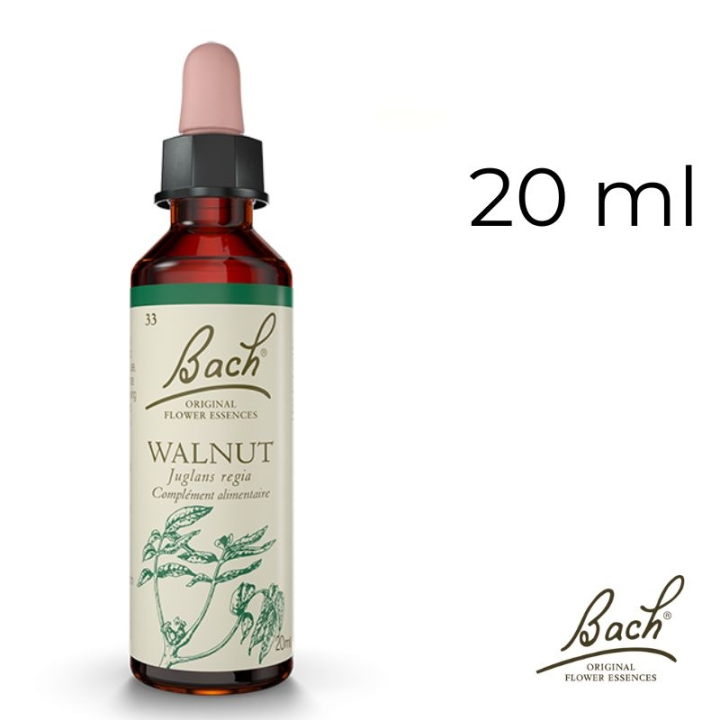 Walnut Bach Original - Fleur de Bach Authentique 20 ml (Noyer) Bach Original Nelsons 1 - mesfleursdebach.com 