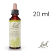 White Chestnut Bach Original - Fleur de Bach Authentique 20 ml (Marronnier Blanc)