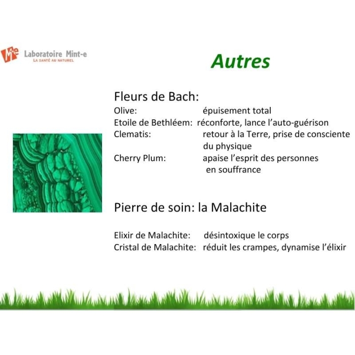 Huile de massage 100 ML Bien-être Z-Massage Laboratoire Mint-e 15 - mesfleursdebach.com 