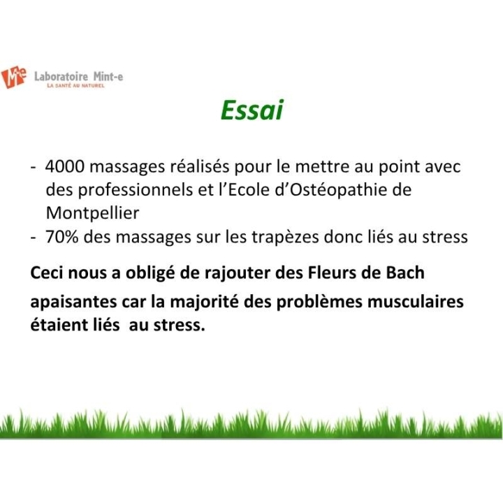 Huile de massage 500 ML Bien-être Z-Massage Laboratoire Mint-e 8 - mesfleursdebach.com 