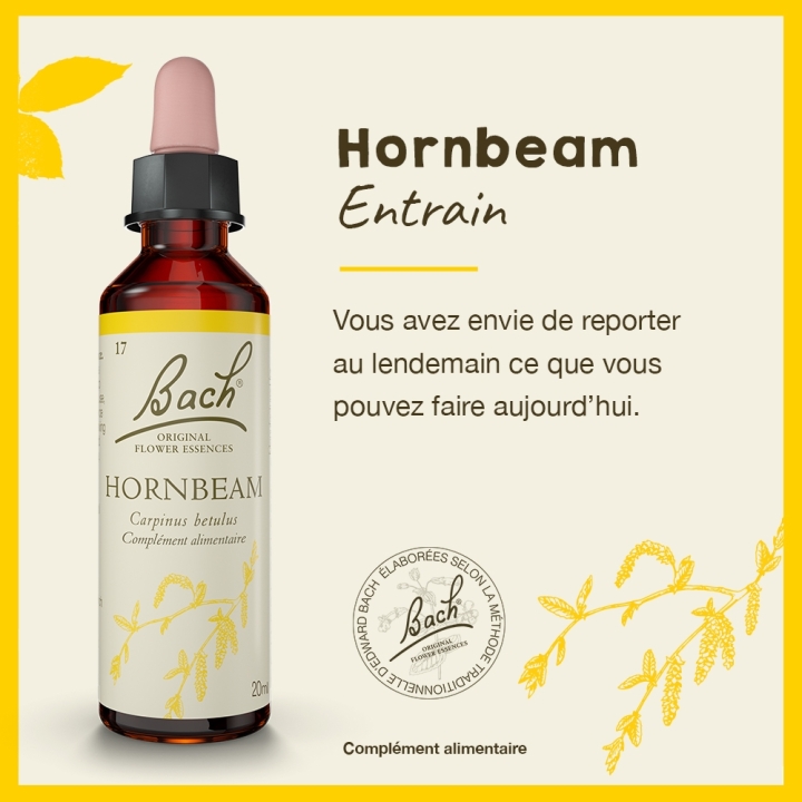 Hornbeam Bach Original - Fleur de Bach Authentique 20 ml (Charme) Bach Original Nelsons 2 - mesfleursdebach.com 