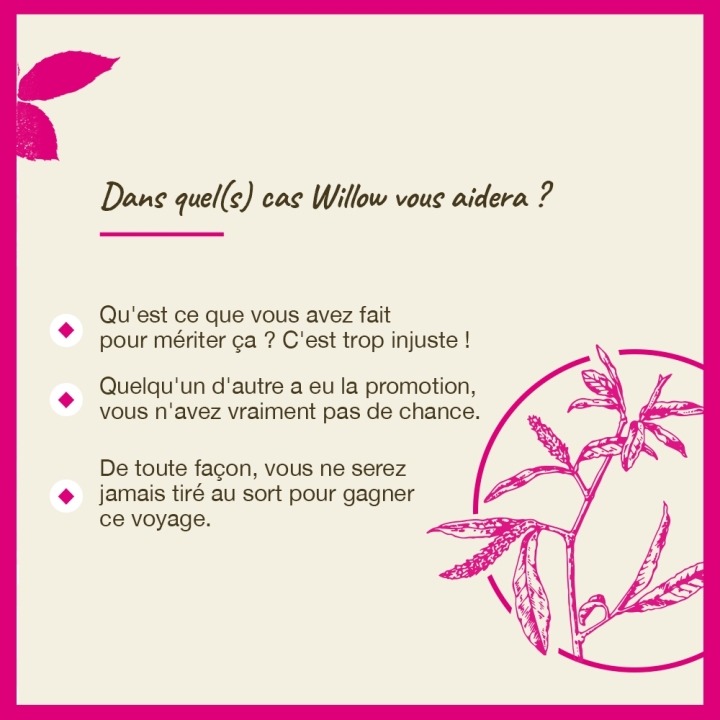 Willow Bach Original - Fleur de Bach Authentique 20 ml (Saule) Bach Original Nelsons 4 - mesfleursdebach.com 