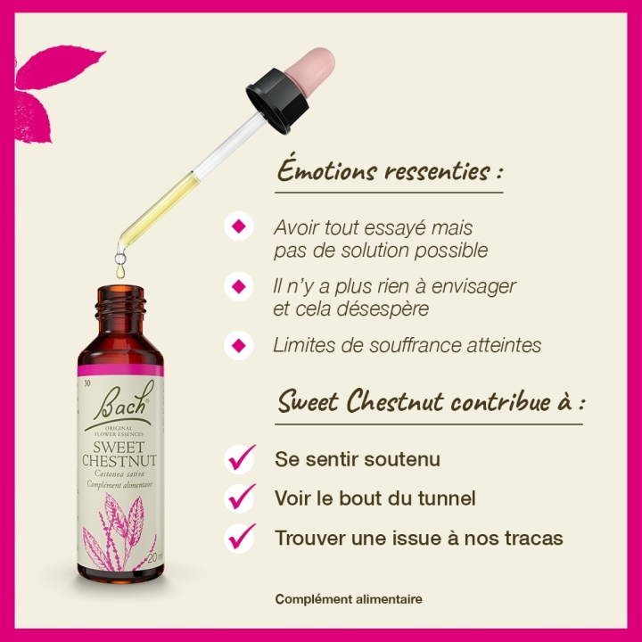 Sweet Chestnut Bach Original - Fleur de Bach Authentique 20 ml (Châtaignier) Bach Original Nelsons 3 - mesfleursdebach.com 