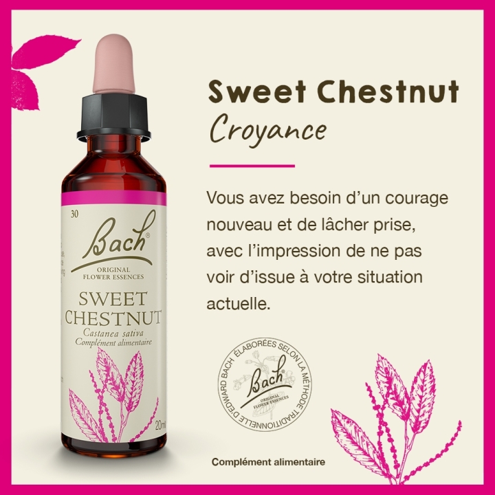 Sweet Chestnut Bach Original - Fleur de Bach Authentique 20 ml (Châtaignier) Bach Original Nelsons 2 - mesfleursdebach.com 
