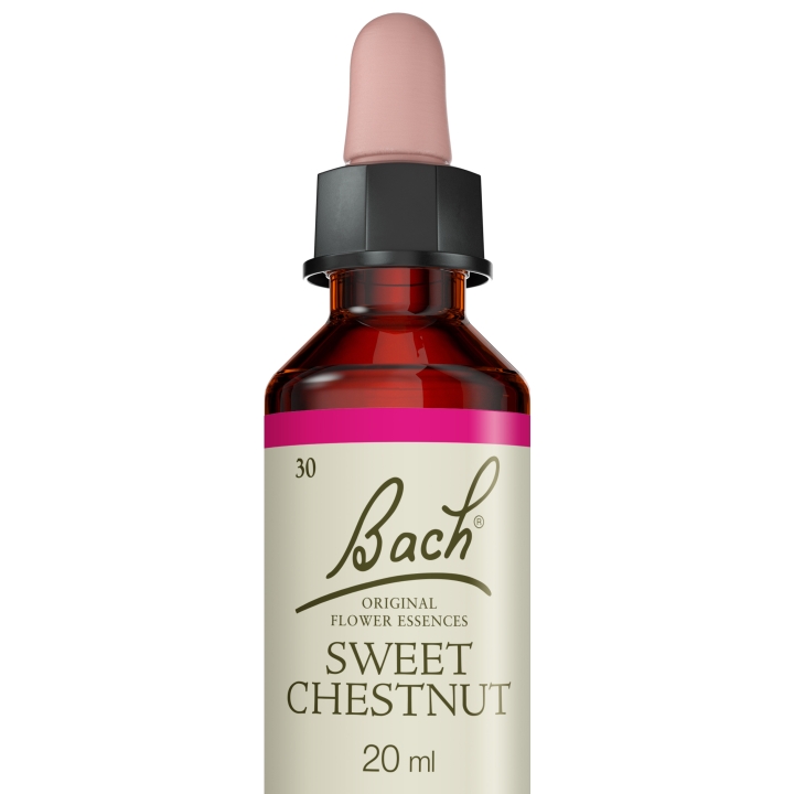 Sweet Chestnut Bach Original - Fleur de Bach Authentique 20 ml (Châtaignier) Bach Original Nelsons 5 - mesfleursdebach.com 