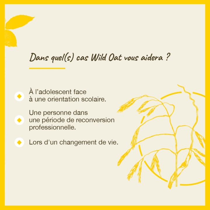 Wild Oat Bach Original - Fleur de Bach Authentique 20 ml (Folle Avoine) Bach Original Nelsons 4 - mesfleursdebach.com 
