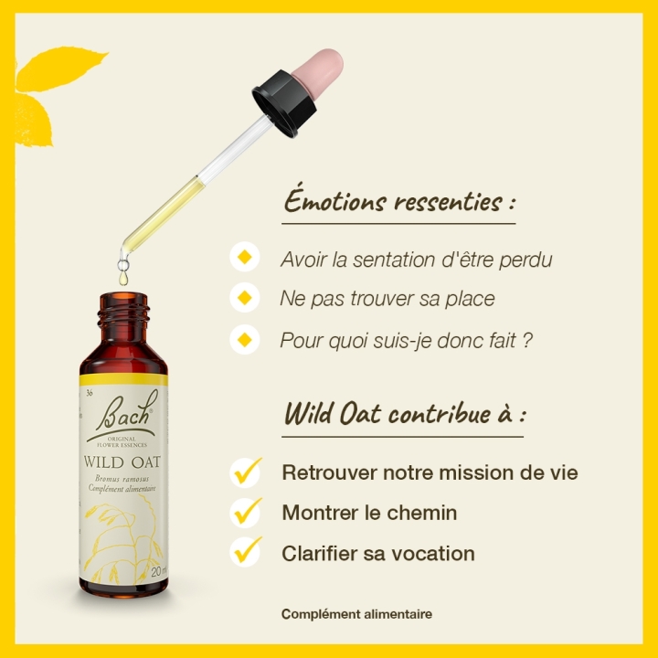 Wild Oat Bach Original - Fleur de Bach Authentique 20 ml (Folle Avoine) Bach Original Nelsons 3 - mesfleursdebach.com 