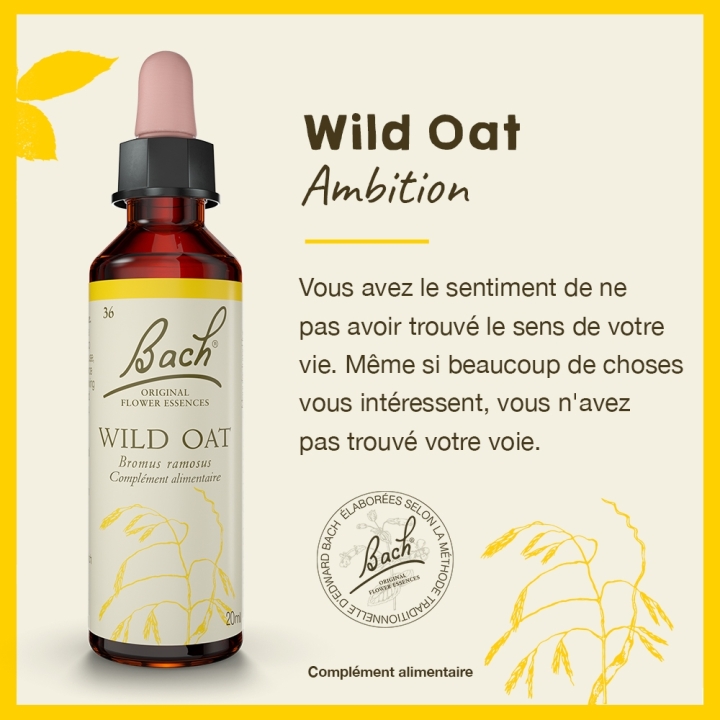 Wild Oat Bach Original - Fleur de Bach Authentique 20 ml (Folle Avoine) Bach Original Nelsons 2 - mesfleursdebach.com 