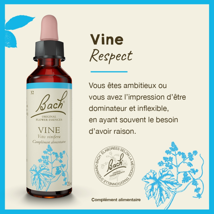 Vine Bach Original - Fleur de Bach Authentique 20 ml (Vigne) Bach Original Nelsons 2 - mesfleursdebach.com 