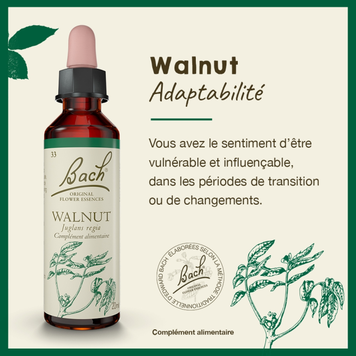 Walnut Bach Original - Fleur de Bach Authentique 20 ml (Noyer) Bach Original Nelsons 2 - mesfleursdebach.com 