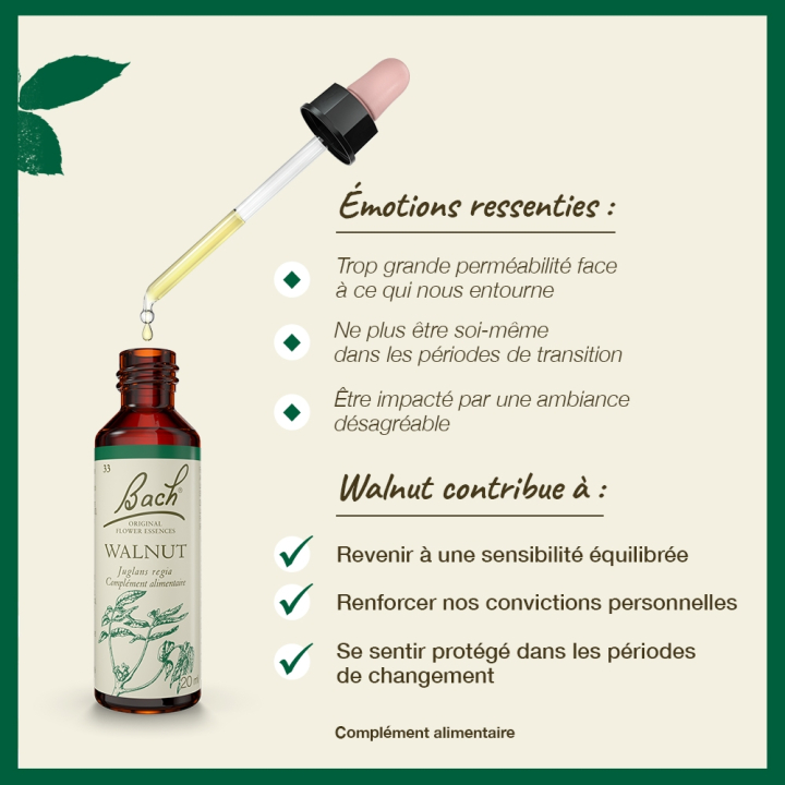 Walnut Bach Original - Fleur de Bach Authentique 20 ml (Noyer) Bach Original Nelsons 3 - mesfleursdebach.com 