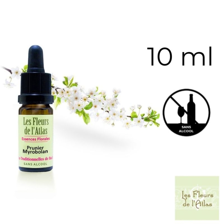 Cherry Plum Fleurs de Bach sans alcool - Fleurs de l'Atlas 10 ml (Prunier Myrobolan) Fleurs de l'Atlas - Sans alcool 1 - mesfleu