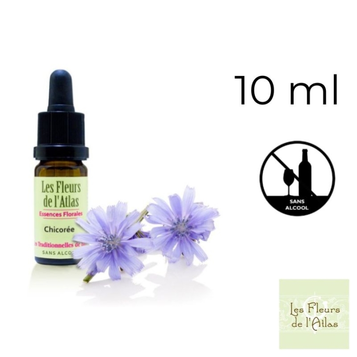 Chicory Fleurs de Bach sans alcool - Fleurs de l'Atlas 10 ml (Chicorée) Fleurs de l'Atlas - Sans alcool 1 - mesfleursdebach.com 