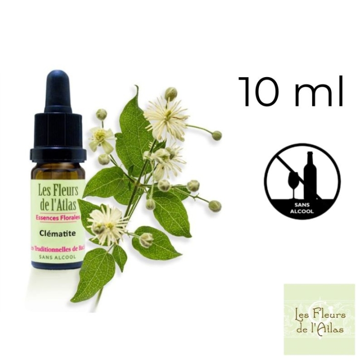 Clematis Fleurs de Bach sans alcool - Fleurs de l'Atlas 10 ml (Clématite) Fleurs de l'Atlas - Sans alcool 1 - mesfleursdebach.co