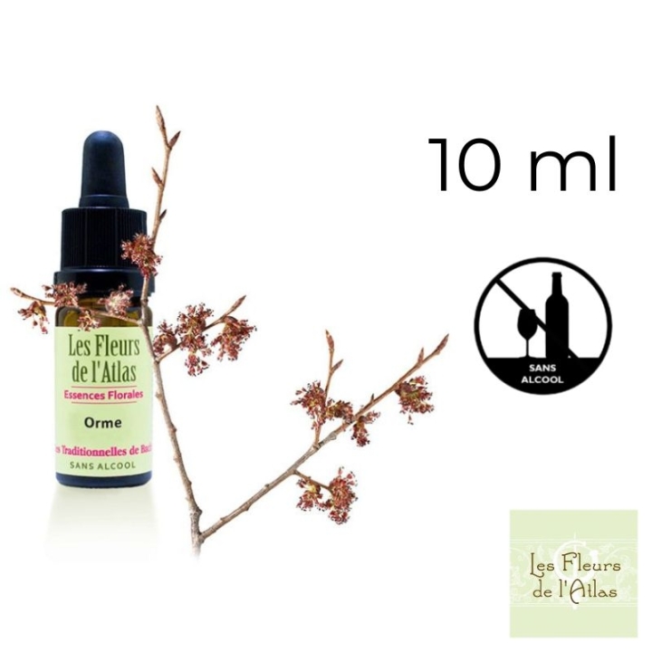 Elm Fleurs de Bach sans alcool - Fleurs de l'Atlas 10 ml (Orme) Fleurs de l'Atlas - Sans alcool 1 - mesfleursdebach.com 