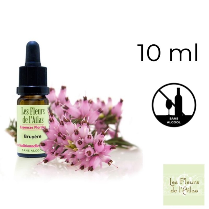 Heather Fleurs de Bach sans alcool - Fleurs de l'Atlas 10 ml (Bruyère) Fleurs de l'Atlas - Sans alcool 1 - mesfleursdebach.com 