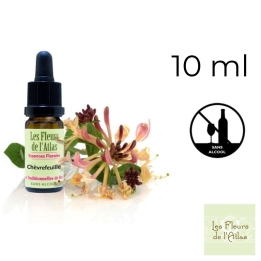 Honeysuckle Fleurs de Bach sans alcool - Fleurs de l'Atlas 10 ml (Chèvrefeuille) Fleurs de l'Atlas - Sans alcool 1 - mesfleursde