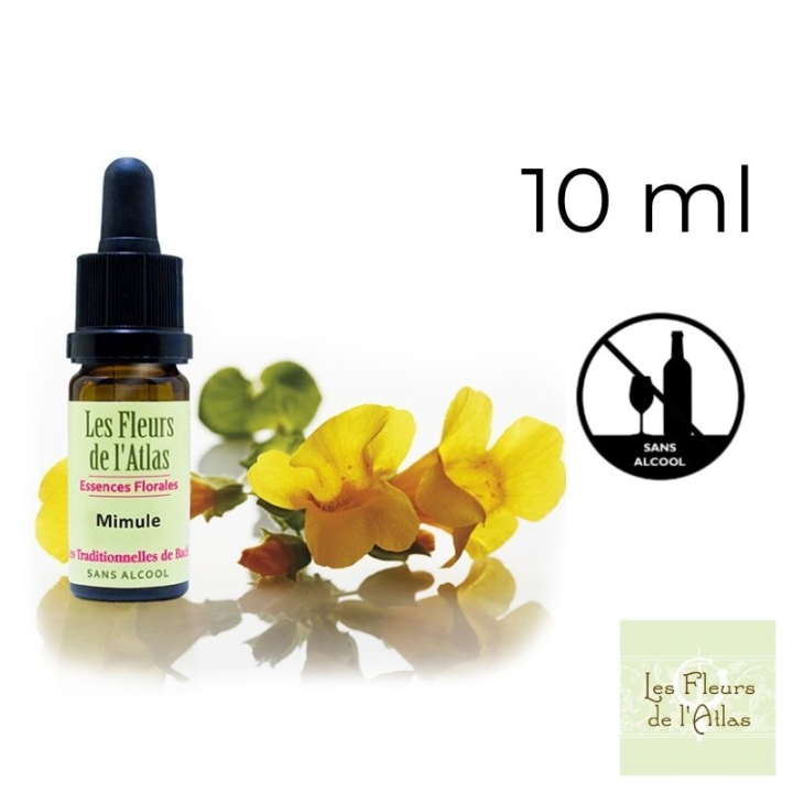 Mimulus Fleurs de Bach sans alcool - Fleurs de l'Atlas 10 ml (Mimule) Fleurs de l'Atlas - Sans alcool 1 - mesfleursdebach.com 