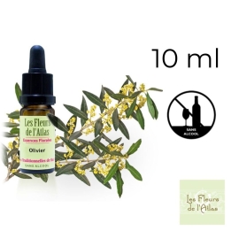 Olive Fleurs de Bach sans alcool - Fleurs de l'Atlas 10 ml (Olive) Fleurs de l'Atlas - Sans alcool 5 - mesfleursdebach.com 