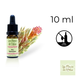 Pine Fleurs de Bach sans alcool - Fleurs de l'Atlas 10 ml (Pin Sylvestre) Fleurs de l'Atlas - Sans alcool 1 - mesfleursdebach.co