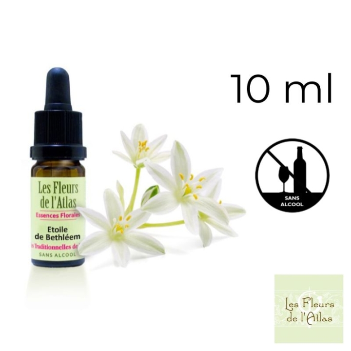 Star of Bethlehem Fleurs de Bach sans alcool - Fleurs de l'Atlas 10 ml (Étoile de Bethléem) Fleurs de l'Atlas - Sans alcool 1 - 
