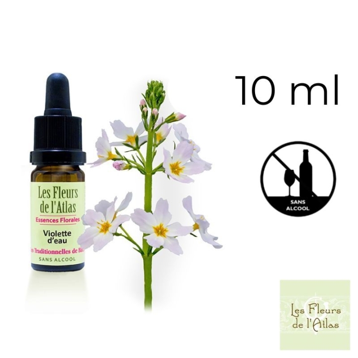 Water Violet Fleurs de Bach sans alcool - Fleurs de l'Atlas 10 ml (Violette d'Eau ou Hottonie des marais) Fleurs de l'Atlas - Sa