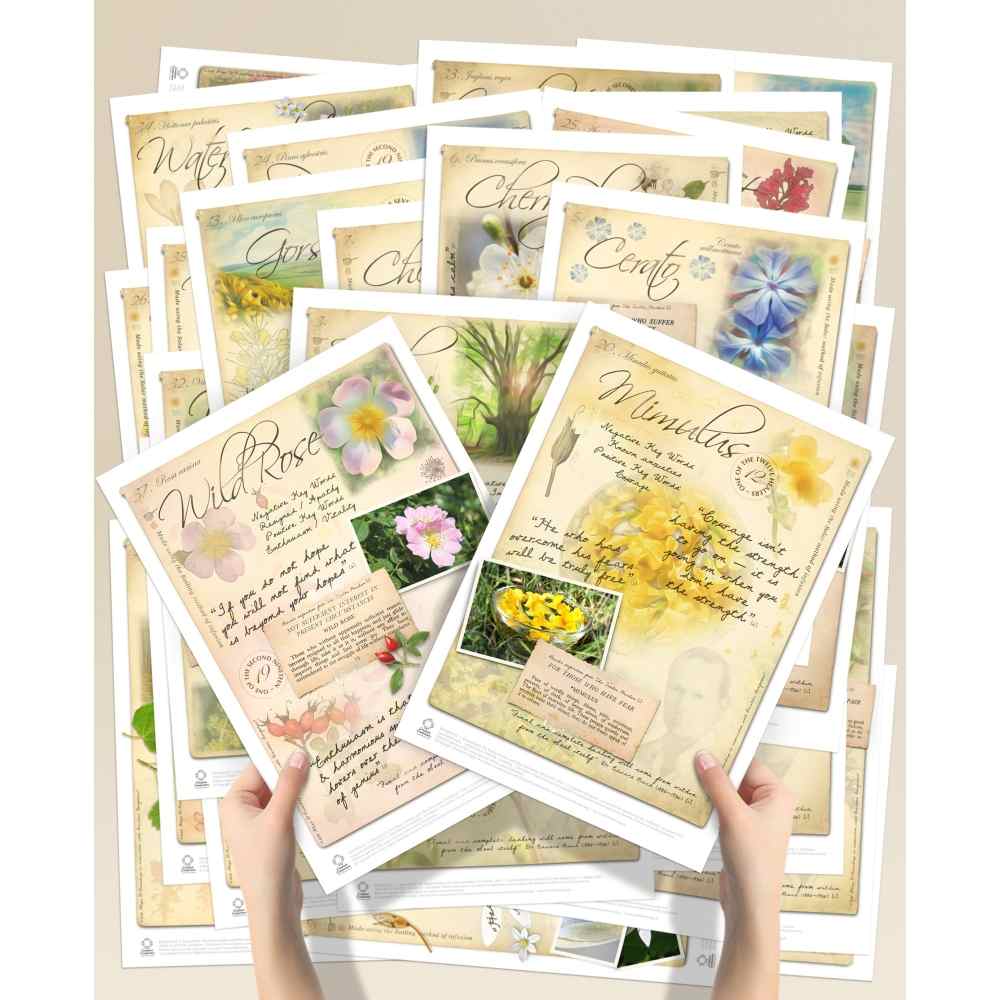 Set de 38 Posters A4 Set de 38 Posters A4