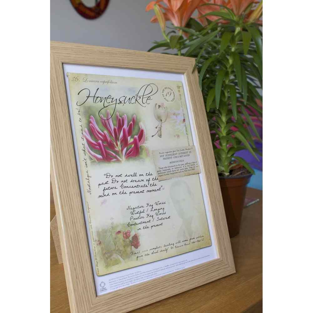 Set de 38 Posters A4 Fleurs de Bach Set de 38 Posters A4 Fleurs de Bach