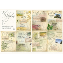 Poster des 7 Auxiliaires A1 - 84*59cm - 7 fleurs de Bach Mes Fleurs de BACH 1 - mesfleursdebach.com 
