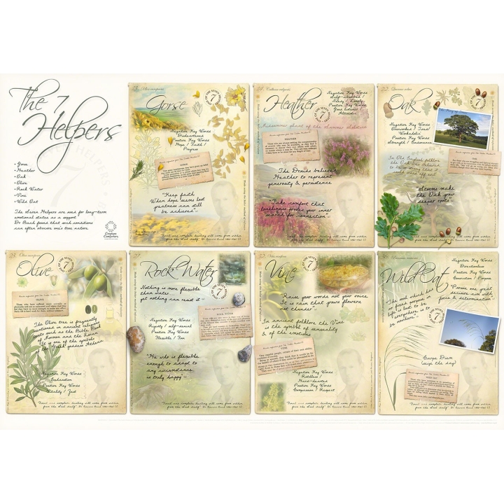 Poster des 7 Auxiliaires A1 - 84*59cm - 7 fleurs de Bach Mes Fleurs de BACH 1 - mesfleursdebach.com 