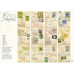 Poster des 12 guérisseurs A1- 84*59cm - 12 fleurs de Bach Mes Fleurs de BACH 1 - mesfleursdebach.com 