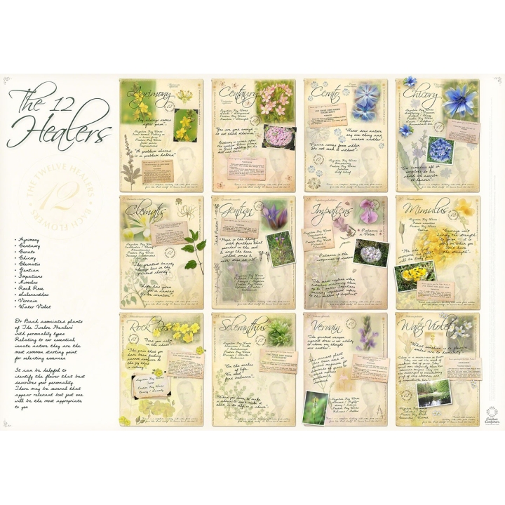 Poster des 12 guérisseurs A1- 84*59cm - 12 fleurs de Bach Mes Fleurs de BACH 1 - mesfleursdebach.com 
