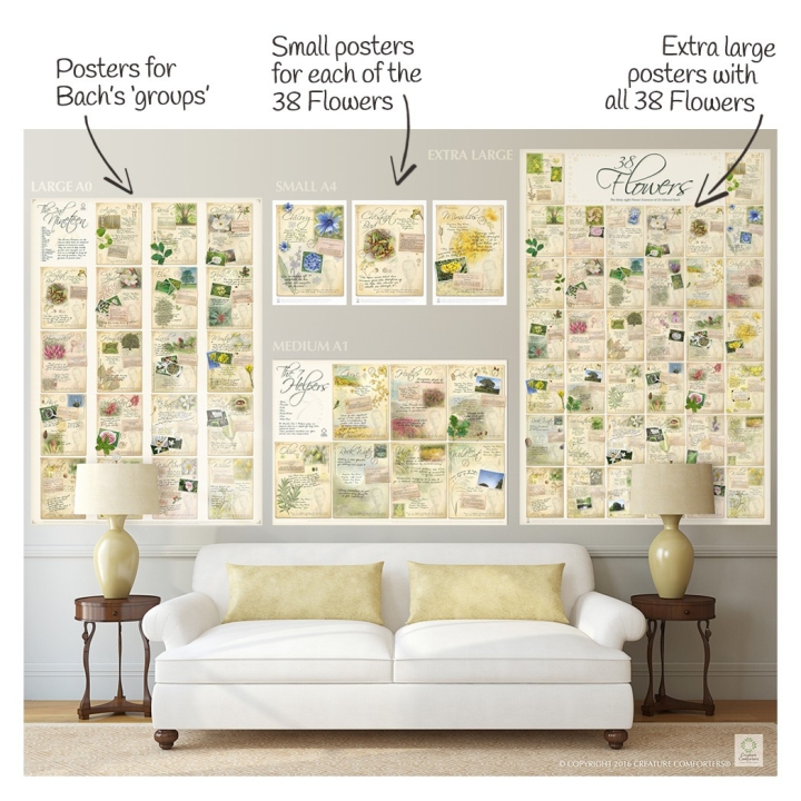 Poster des 19 Spirituelles A0 - 119*84cm - 19 fleurs de Bach Mes Fleurs de BACH 2 - mesfleursdebach.com 