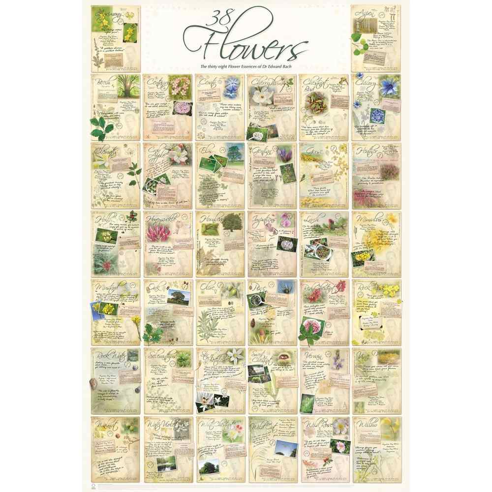 Poster des 38 Fleurs de BACH Poster des 38 Fleurs de BACH