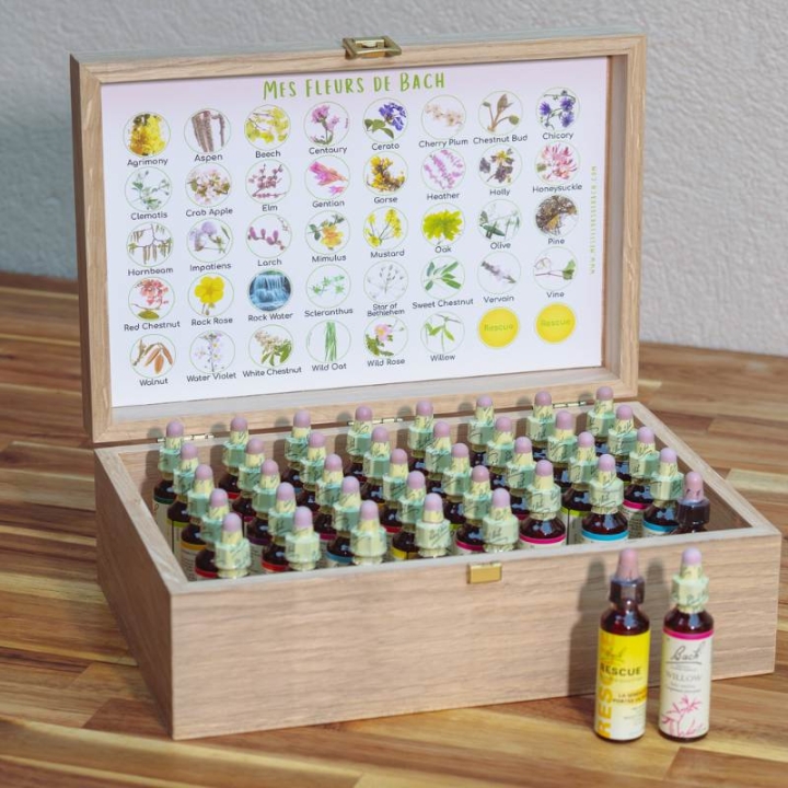 Coffret vide en chêne de Bourgogne pour Bach Original ou sans alcool Mes Fleurs de BACH 3 - mesfleursdebach.com 