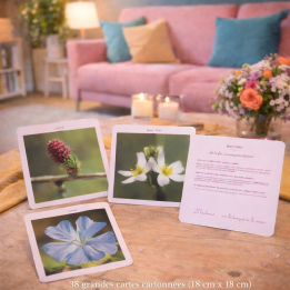 Grandes cartes des 38 fleurs de Bach Mechthild Scheffer 18*18cm Mes Fleurs de BACH 1 - mesfleursdebach.com 