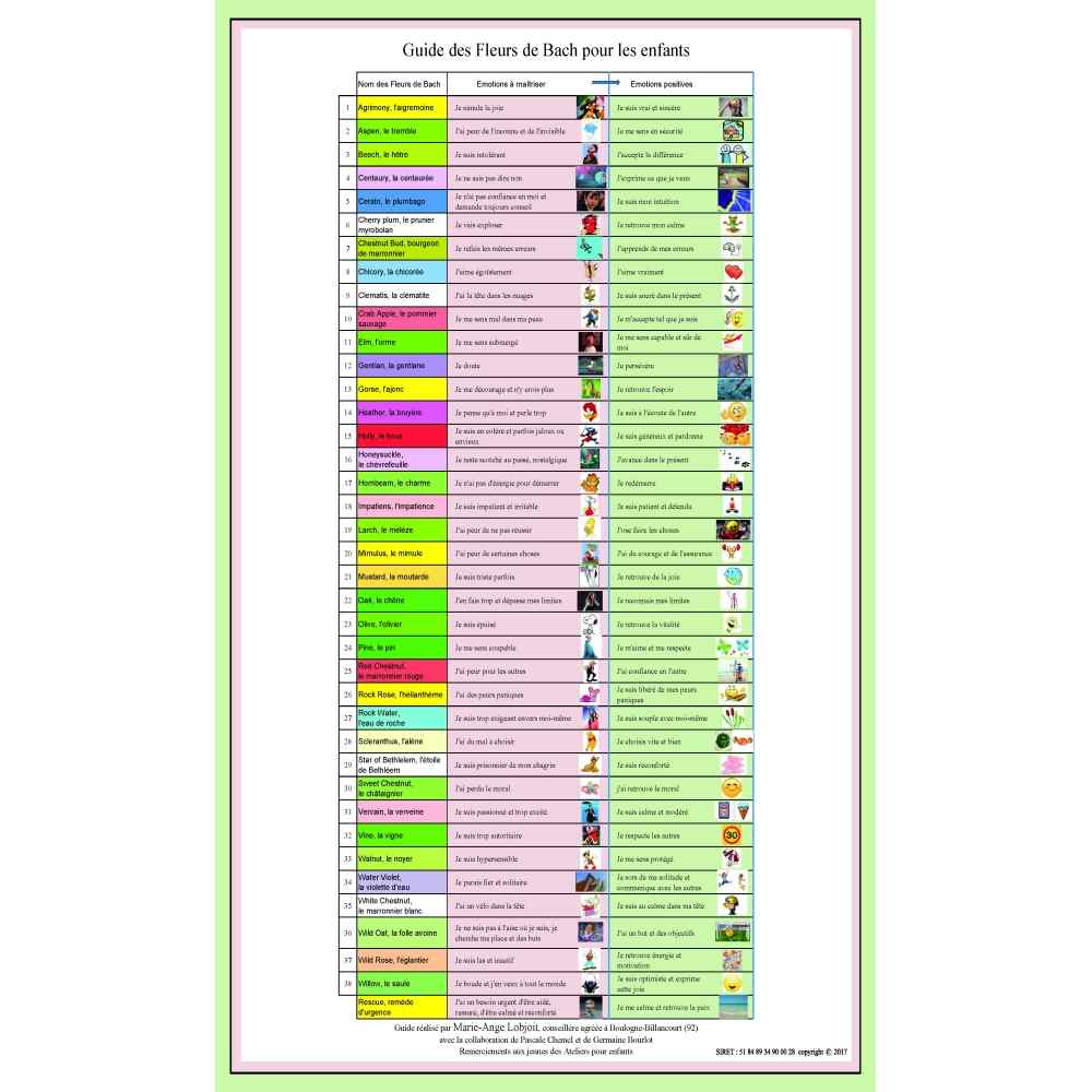 Poster : Les 38 Fleurs du Dr Edward BACH pour les enfants Poster : Les 38 Fleurs du Dr Edward BACH pour les enfants