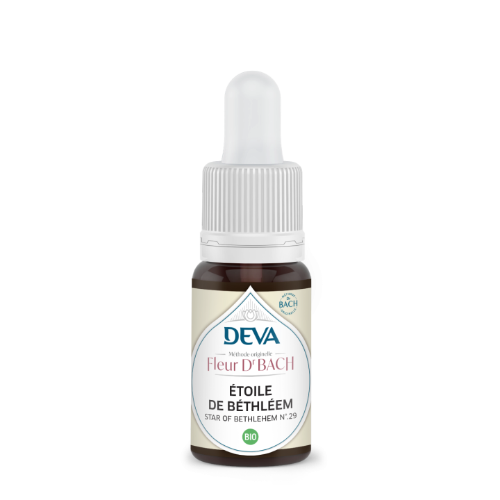 Star of Bethlehem Deva 15 ml (Étoile de Bethléem) Deva 1 - mesfleursdebach.com 