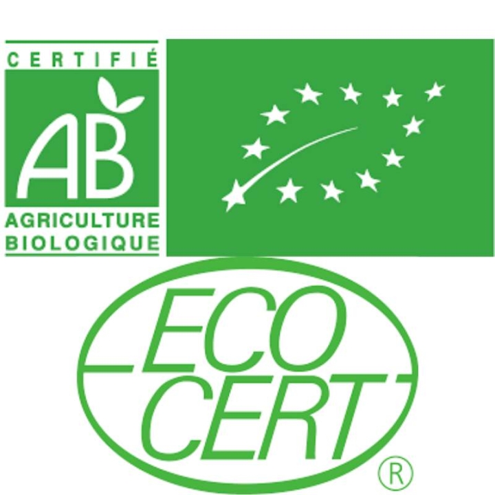 Gel de première urgence Z-Trauma 60 ml bio aux fleurs de Bach Laboratoire Mint-e 2 - mesfleursdebach.com 