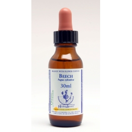 Beech Healing Herbs 30 ml (Hêtre) Healing Herbs 1 - mesfleursdebach.com 