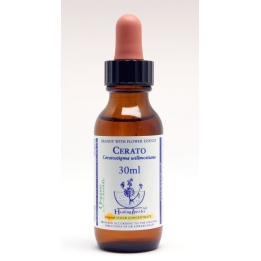 Cerato Healing Herbs 30 ml (Plumbago) Healing Herbs 1 - mesfleursdebach.com 