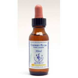 Cherry Plum Healing Herbs 30 ml (Prunier Myrobolan) Healing Herbs 1 - mesfleursdebach.com 