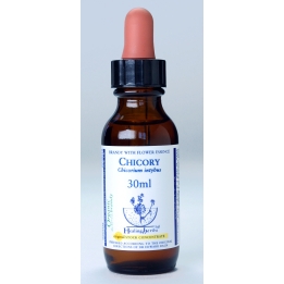 Chicory Healing Herbs 30 ml (Chicorée) Healing Herbs 1 - mesfleursdebach.com 