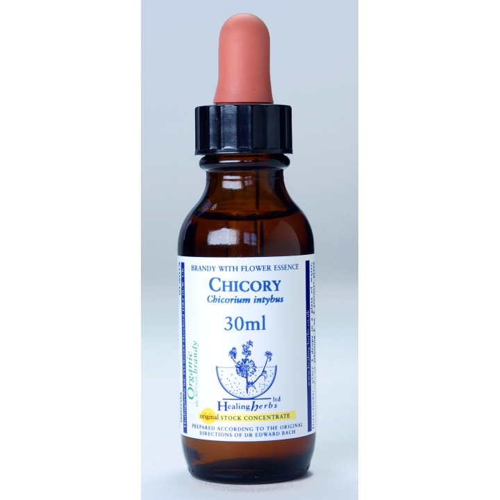 Chicory Healing Herbs 30 ml (Chicorée) Healing Herbs 1 - mesfleursdebach.com 