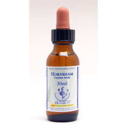 Hornbeam Healing Herbs 30 ml (Charme) Healing Herbs 1 - mesfleursdebach.com 