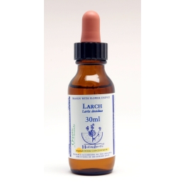 Larch Healing Herbs 30 ml (Mélèze) Healing Herbs 1 - mesfleursdebach.com 