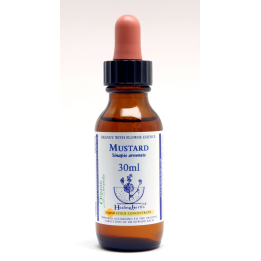Mustard Healing Herbs 30 ml (Moutarde) Healing Herbs 1 - mesfleursdebach.com 