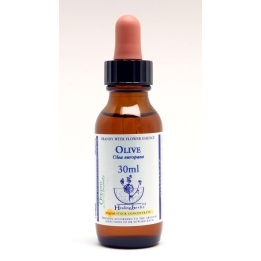 Olive Healing Herbs 30 ml (Olive) Healing Herbs 1 - mesfleursdebach.com 