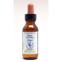 Pine Healing Herbs 30 ml (Pin Sylvestre) Healing Herbs 1 - mesfleursdebach.com 